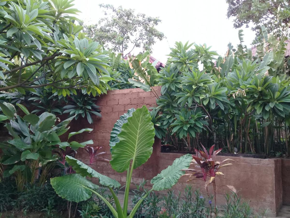 Eliska Sari Bungalows Sumberkima Pemuteran Exterior foto